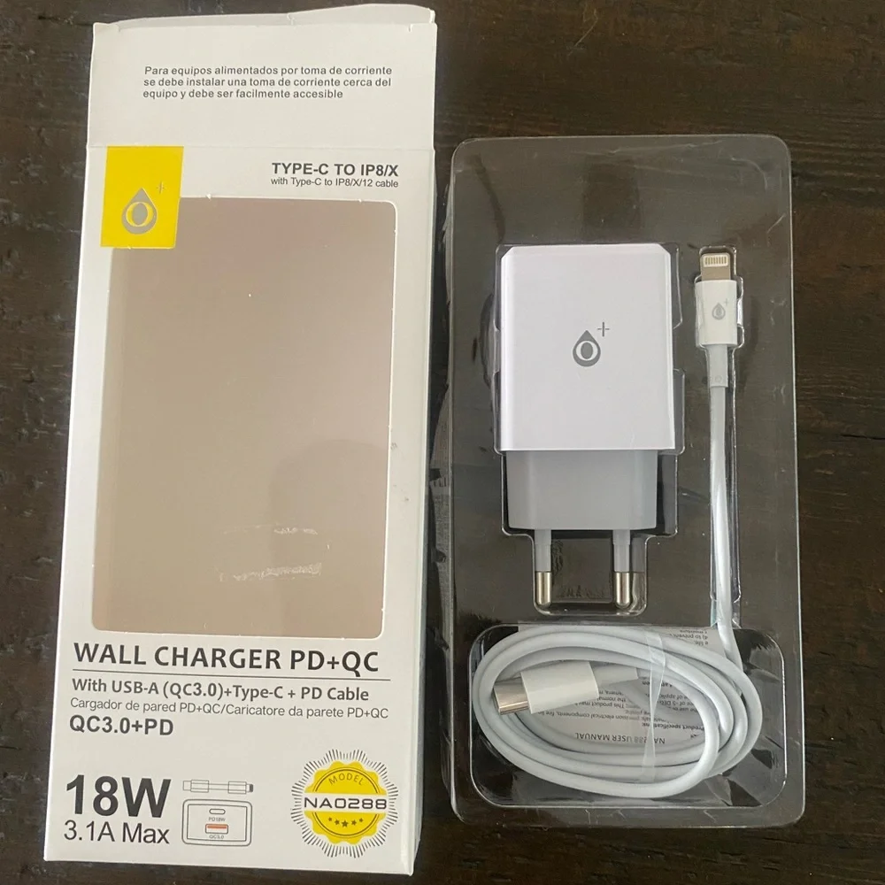 International Wall Charger